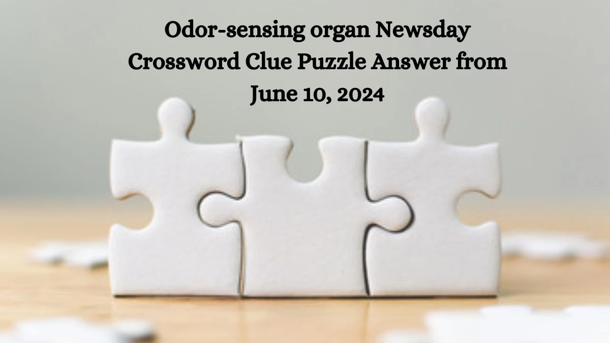 Odor sensing organ Newsday Crossword Clue Puzzle Answer from June 10