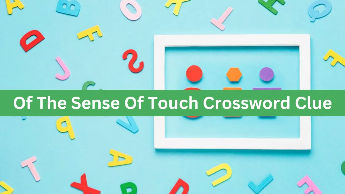 Of The Sense Of Touch Crossword Clue Puzzle Answer from June 26, 2024