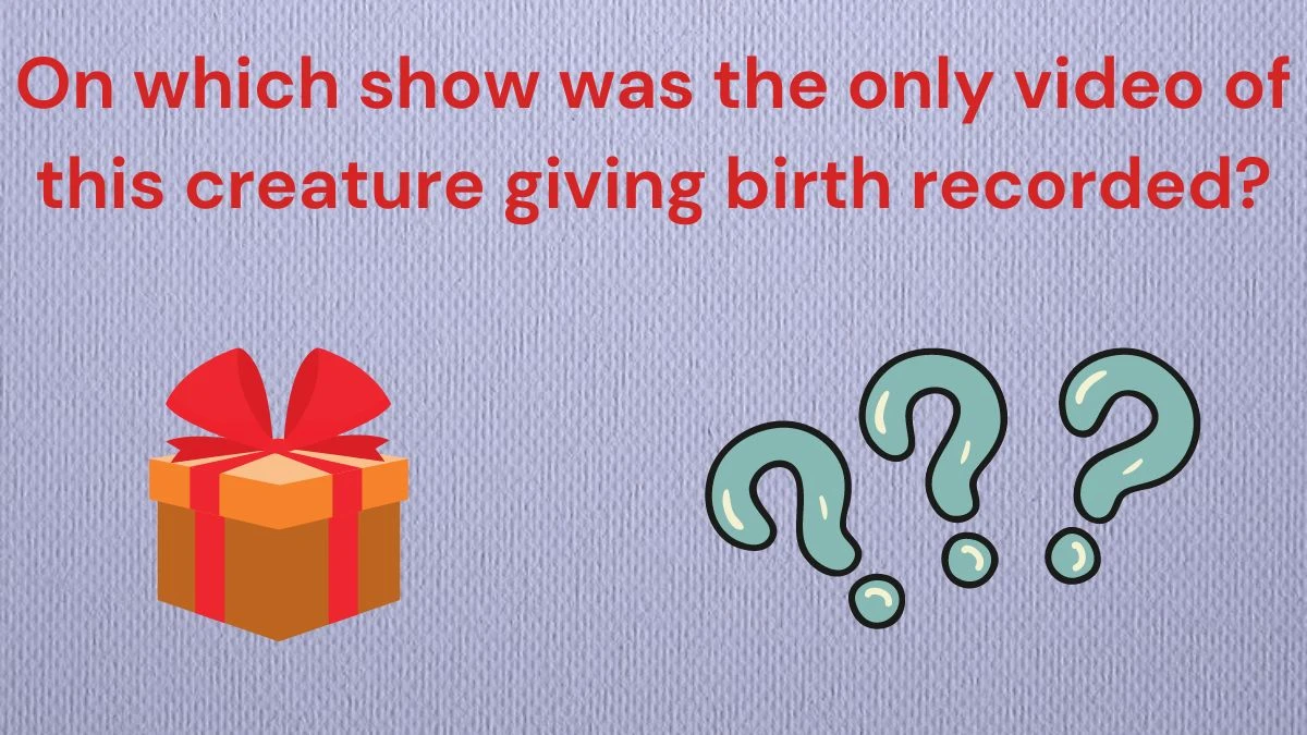 On which show was the only video of this creature giving birth recorded? Amazon Quiz Answer Today June 21, 2024
