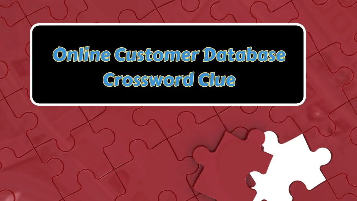 Online Customer Database 7 Little Words Puzzle Answer from June 25, 2024