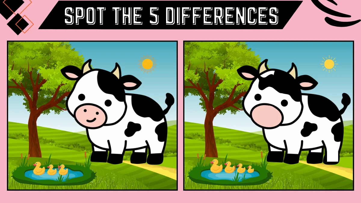 Only extra sharp eyes can spot the 5 differences between these two images in 12 Secs