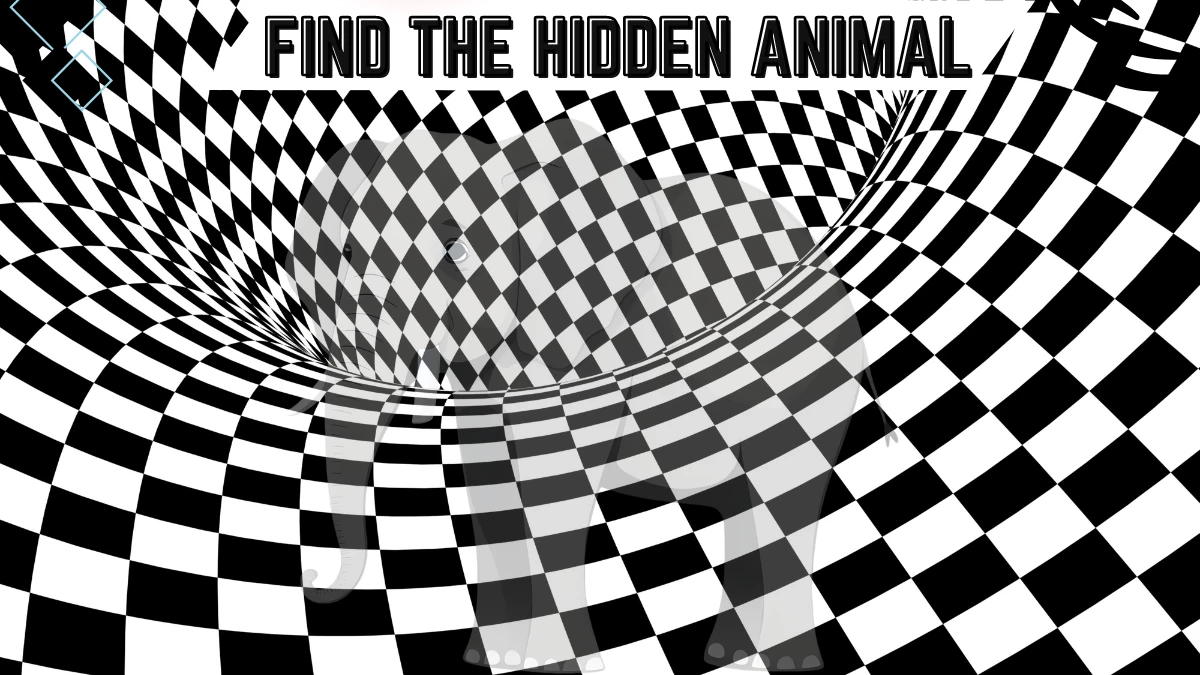 Optical Illusion Eye Test: Only the true detectives can spot the hidden ...