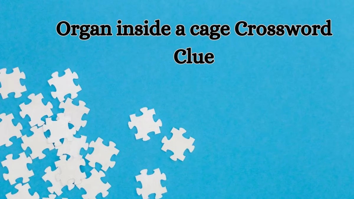 Universal Organ inside a cage Crossword Clue Puzzle Answer from June 29, 2024