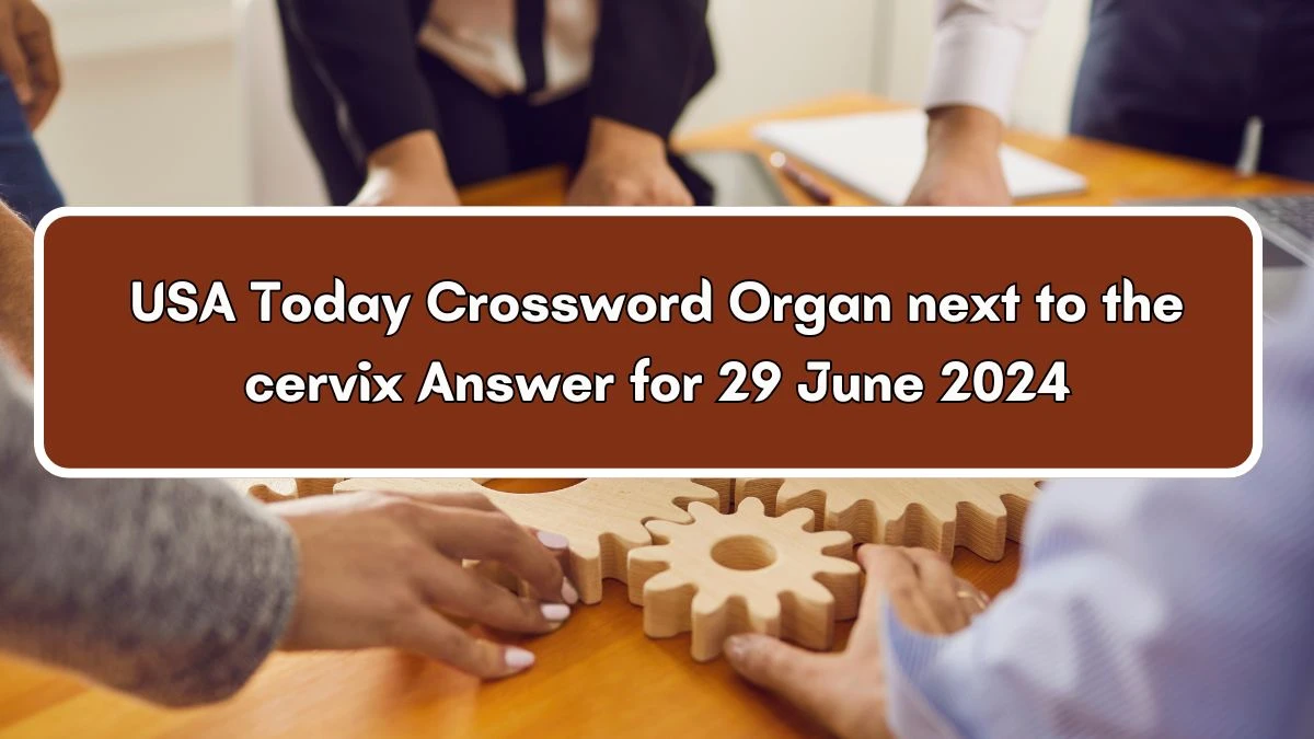 USA Today Organ next to the cervix Crossword Clue Puzzle Answer from June 29, 2024