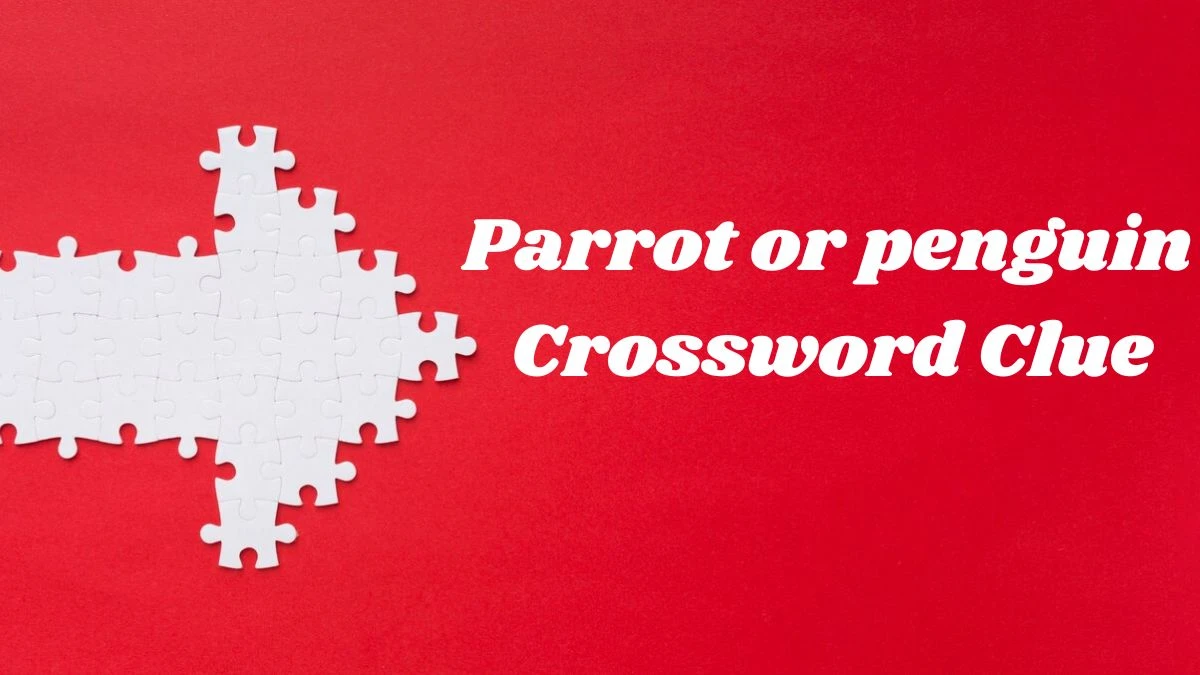 Parrot or penguin Daily Commuter Crossword Clue Puzzle Answer from June 28, 2024