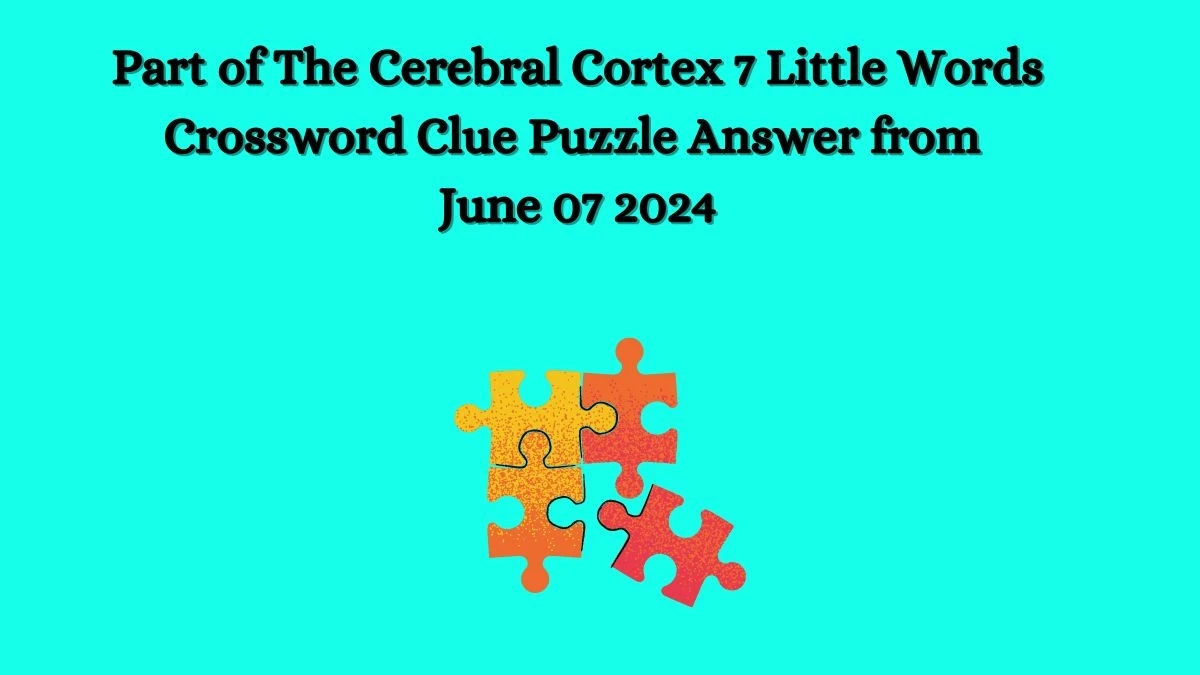 Part of The Cerebral Cortex 7 Little Words Crossword Clue Puzzle Answer from June 07 2024