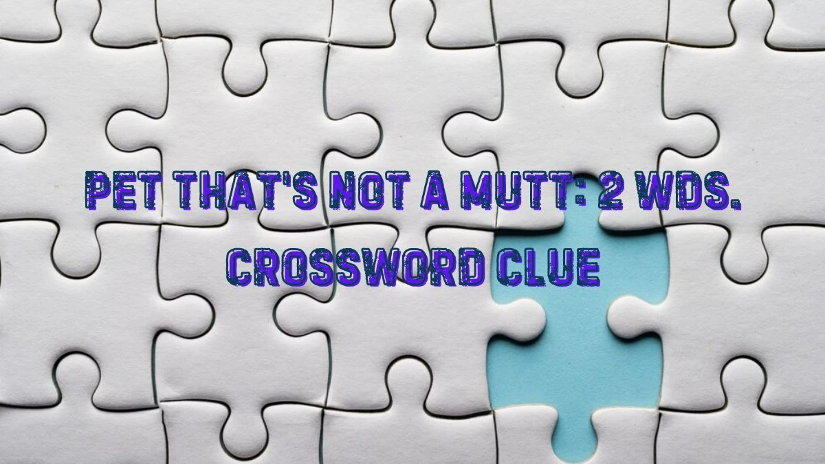 Pet that's not a mutt: 2 wds. Daily Commuter Crossword Clue Puzzle Answer from June 22, 2024