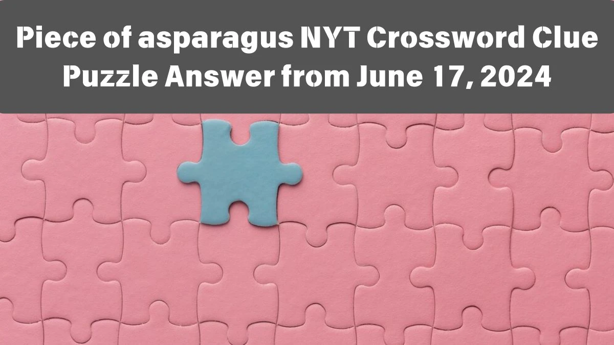 Piece of asparagus NYT Crossword Clue Puzzle Answer from June 17, 2024