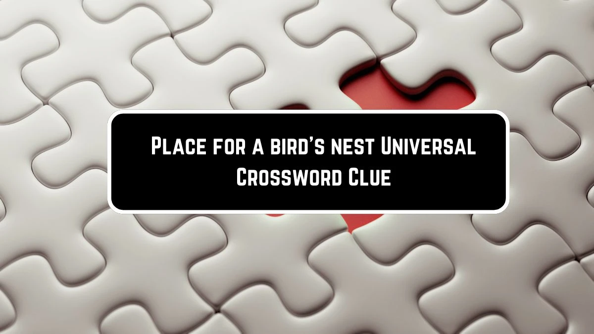 Place for a bird's nest Universal Crossword Clue Puzzle Answer from June 08 2024