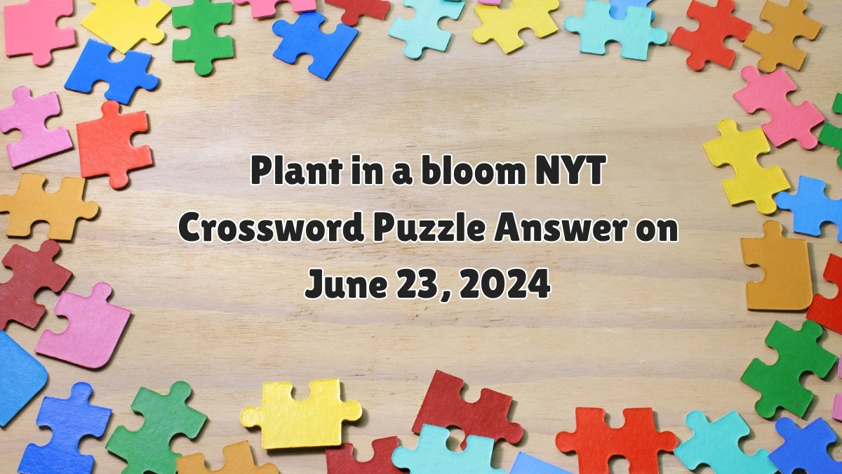 Plant in a bloom NYT Crossword Clue Puzzle Answer from June 23, 2024