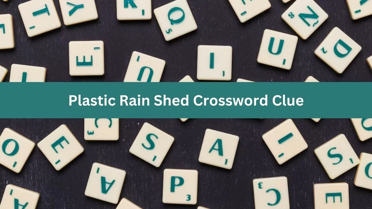 Plastic Rain Shed Daily Themed Crossword Clue Puzzle Answer from June 19, 2024