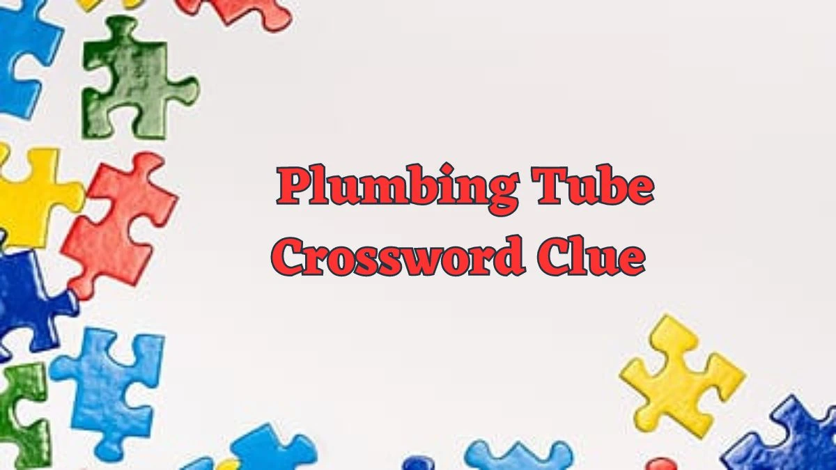 Daily Commuter Plumbing Tube Crossword Clue Puzzle Answer from June 17, 2024