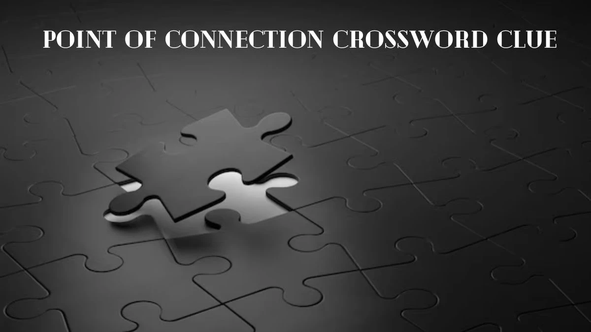 Universal Point of connection Crossword Clue Puzzle Answer from June 29, 2024