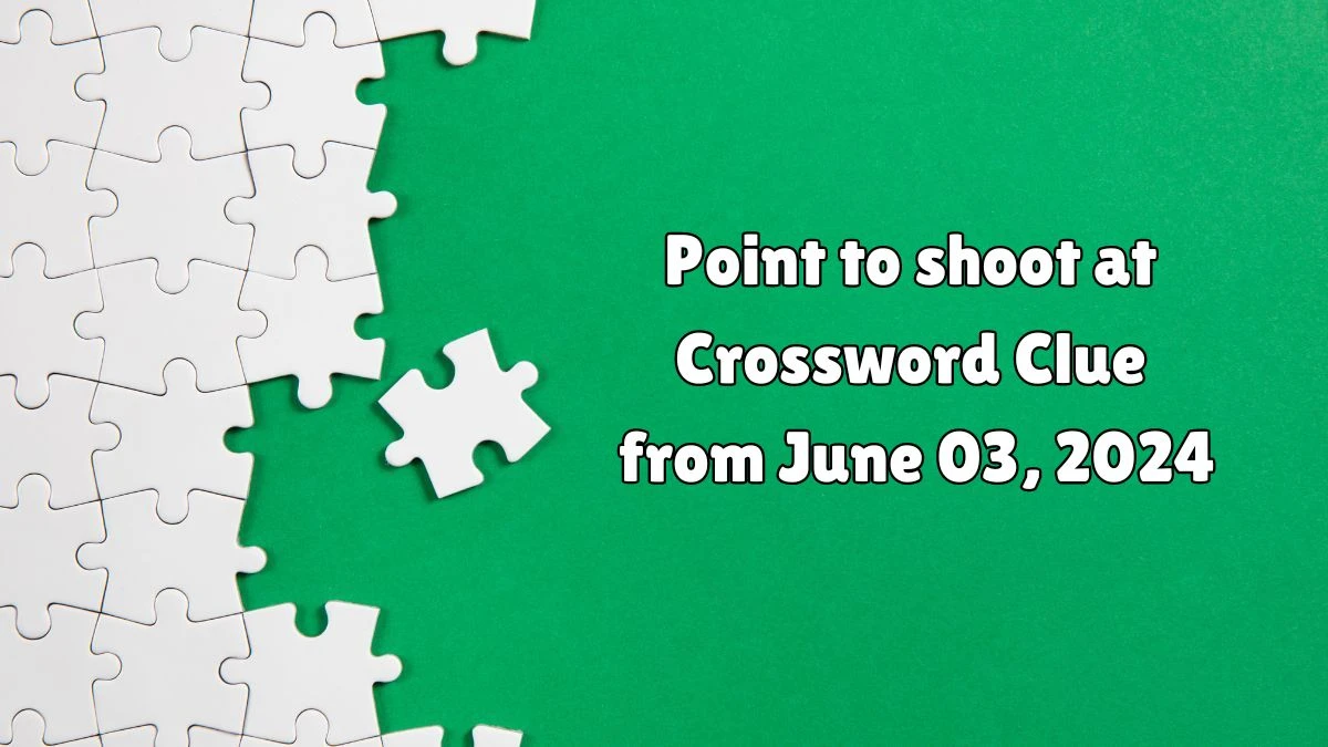 Point to shoot at Crossword Clue from June 03, 2024