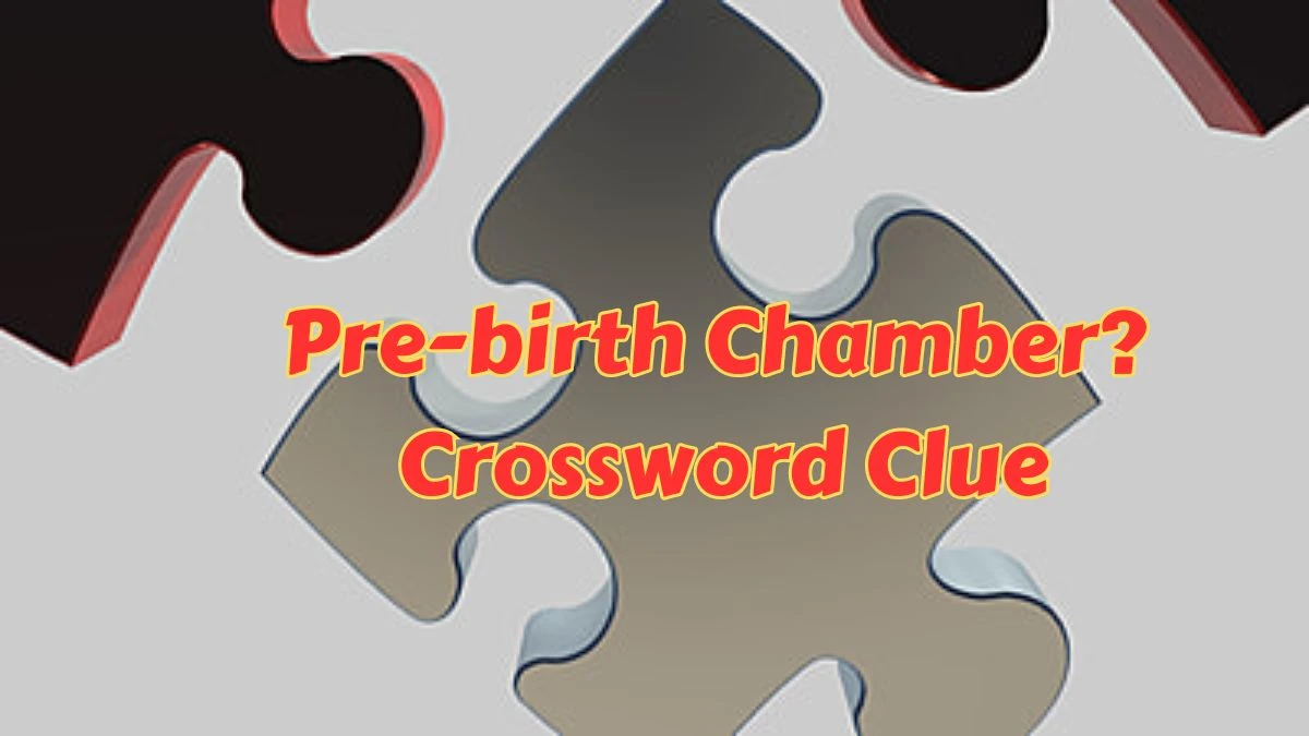 Pre-birth Chamber? Daily Themed Crossword Clue Puzzle Answer from June 26, 2024