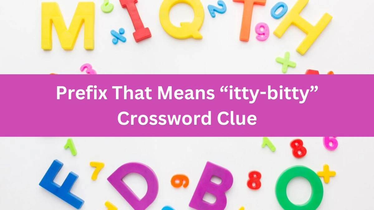 USA Today Prefix That Means “itty-bitty” Crossword Clue Puzzle Answer from June 26, 2024