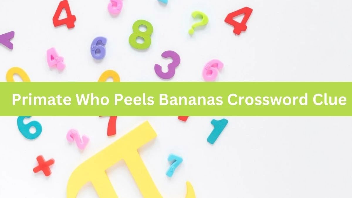 Primate Who Peels Bananas Crossword Clue Daily Themed Puzzle Answer from June 19, 2024