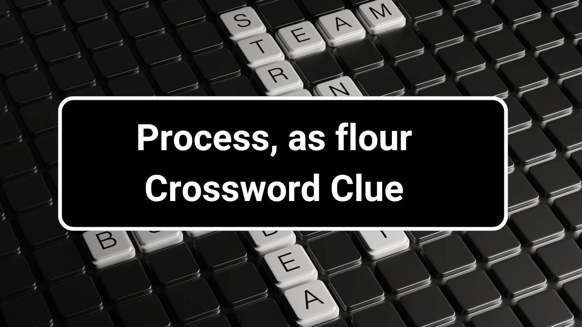 Process, as flour Daily Commuter Crossword Clue Puzzle Answer from June 27, 2024