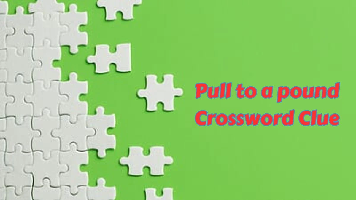 Pull to a pound Daily Commuter Crossword Clue Puzzle Answer from June 28, 2024
