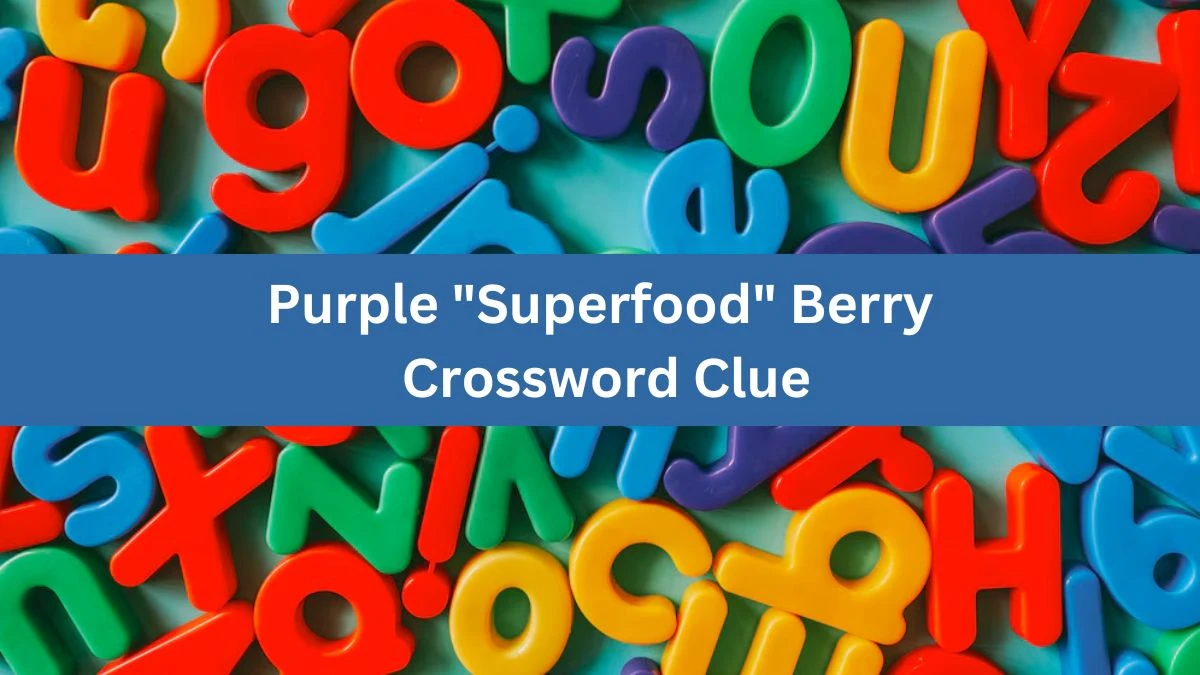 Purple Superfood Berry Daily Commuter Crossword Clue Puzzle Answer from June 26, 2024