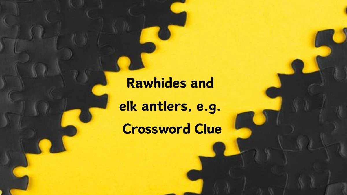 Rawhides and elk antlers, e.g. Universal Crossword Clue Puzzle Answer from June 22, 2024