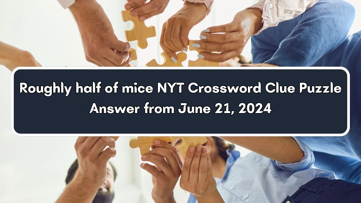 Roughly half of mice NYT Crossword Clue Puzzle Answer from June 21, 2024