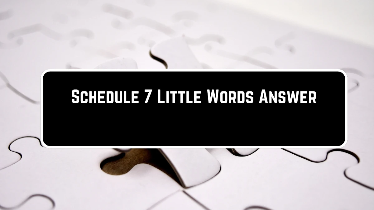 Schedule 7 Little Words Puzzle Answer from June 23, 2024 News