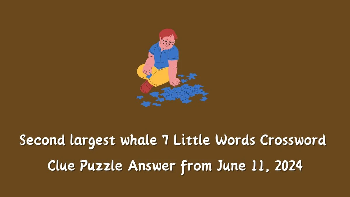 Second largest whale 7 Little Words Crossword Clue Puzzle Answer from June 11, 2024