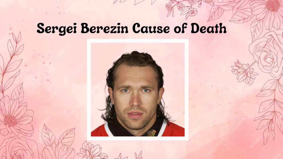 Sergei Berezin Cause of Death, Who was Sergei Berezin?