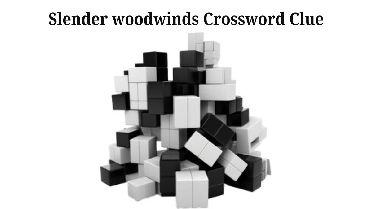 USA Today Slender woodwinds Crossword Clue Puzzle Answer from June 24, 2024