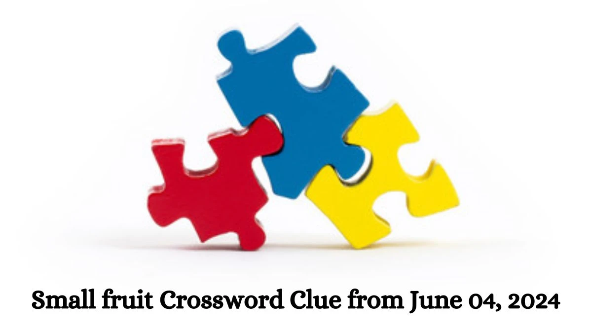 Small fruit Crossword Clue from June 04, 2024