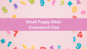 Small Puppy Bites Daily Themed Crossword Clue Puzzle Answer from June 17, 2024