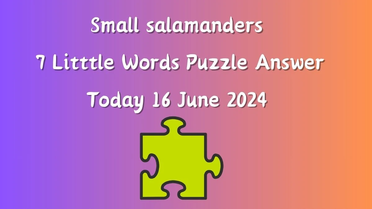 Small salamanders 7 Little Words Crossword Clue Puzzle Answer from June 16, 2024