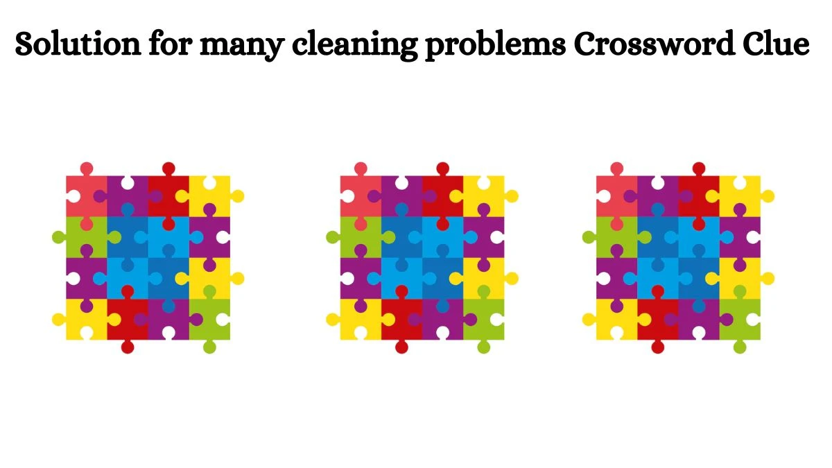 Solution for many cleaning problems NYT Crossword Clue Puzzle Answer from June 29, 2024