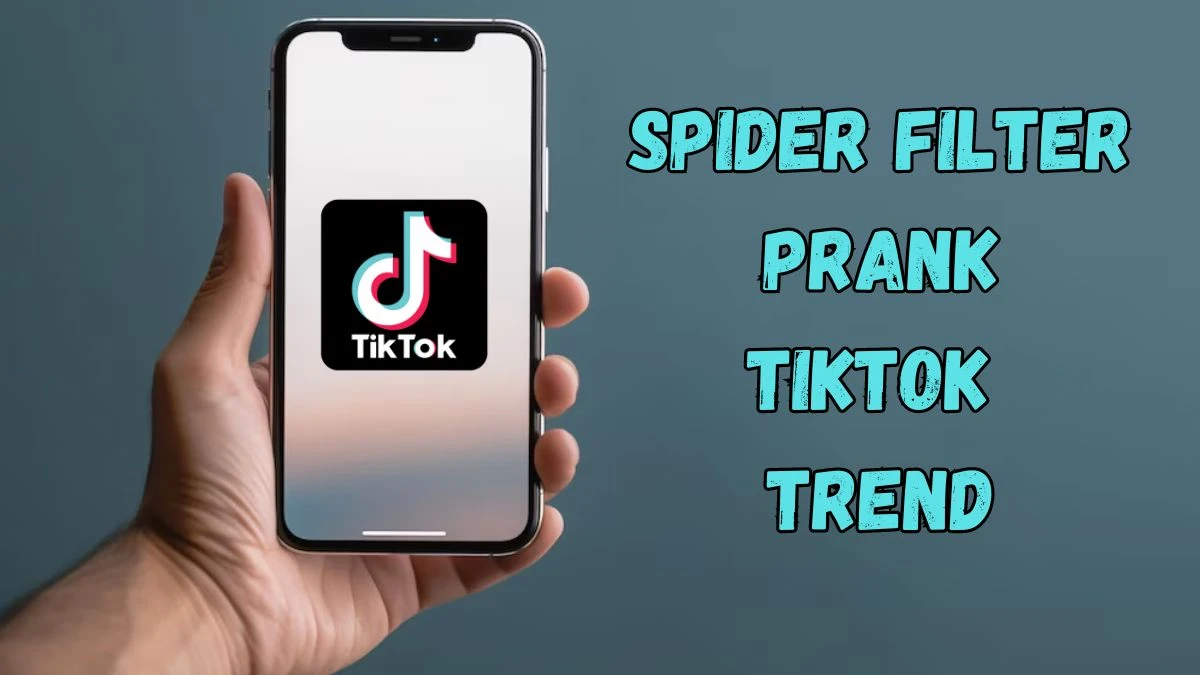 Spider Filter Prank TikTok Trend - Explore the Filter Prank Trend