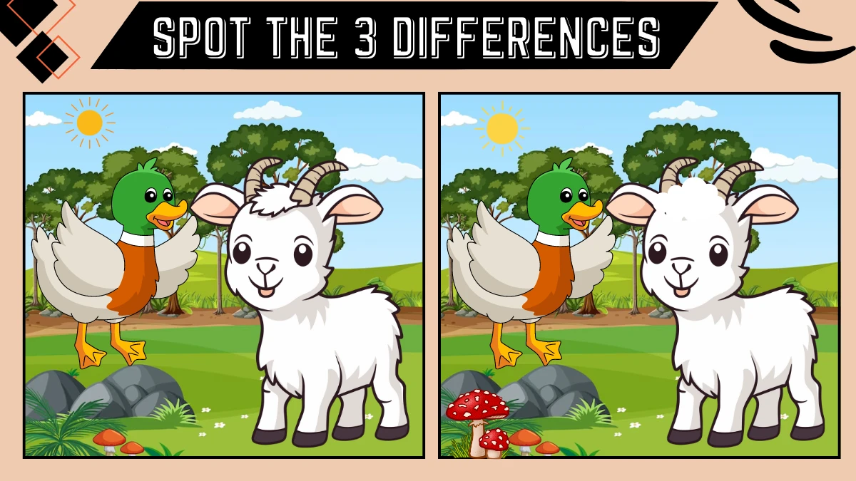 Spot the 3 Difference: Only intelligent people can spot the 3 difference in the goat and duck image within 10 seconds | Picture Puzzle Game