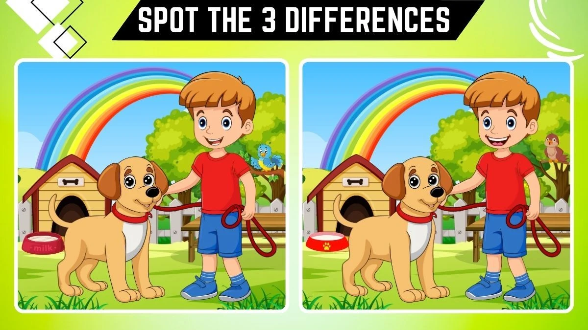 Spot the 3 Difference Picture Puzzle Game: Only People with Eagle Eyes Can Spot the 3 Differences in 10 Secs