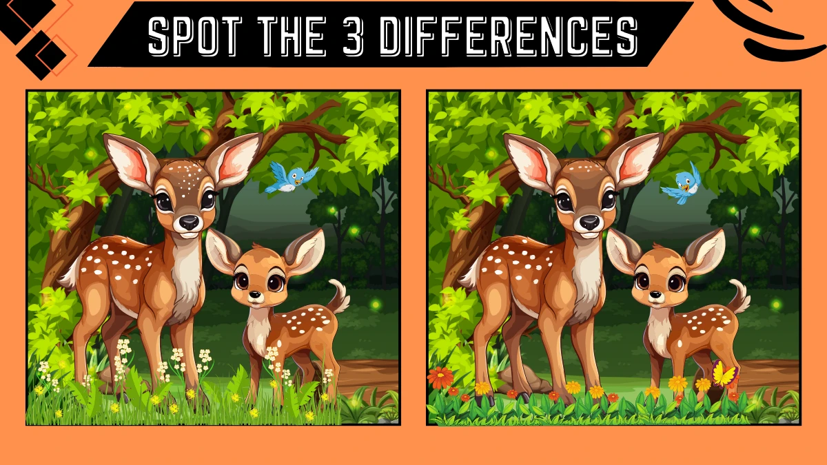 spot the 3 differences only a genius can spot the 3 differences in the deer image within 66750c0826d1b68913518 1200