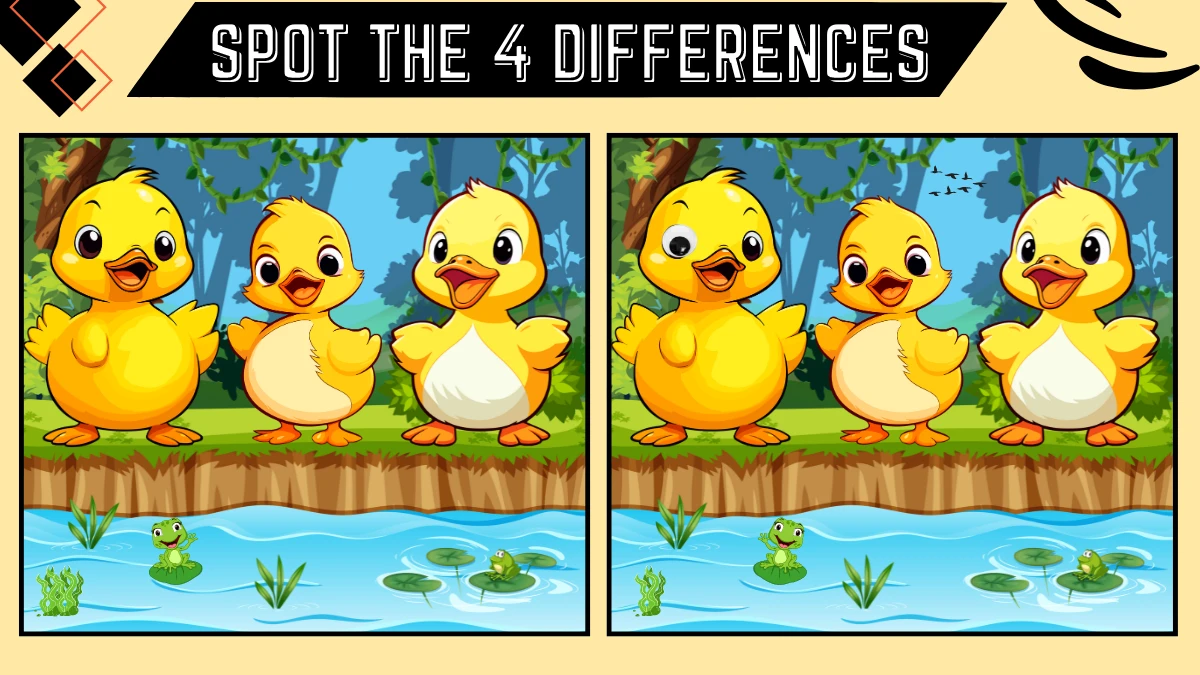 Spot the 4 Differences Picture Puzzle Game: Only People with razor-sharp eyes Can spot the 4 Differences in this Duck Image in 10 Secs