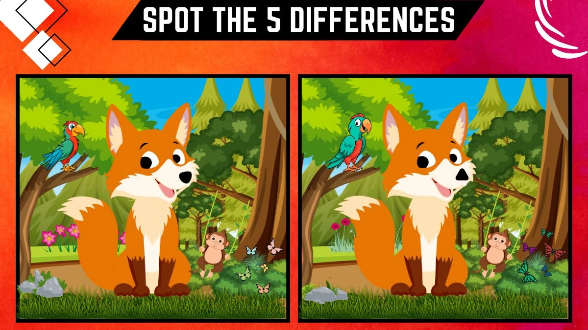 Spot the 5 Difference Picture Puzzle Game: Only extraordinary vision people can spot the 5 differences in the fox picture within 15 secs