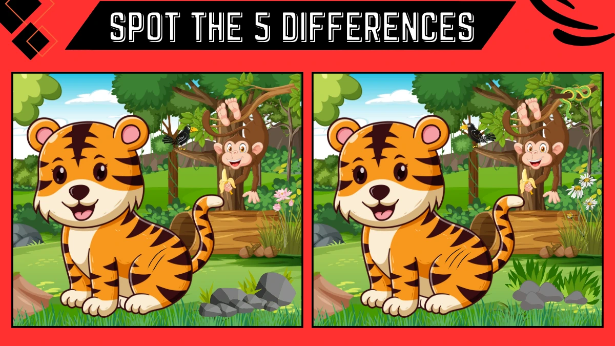 spot the 5 difference picture puzzle game only people with extra sharp eyes can spot the 667903d19e01c76966394 1200