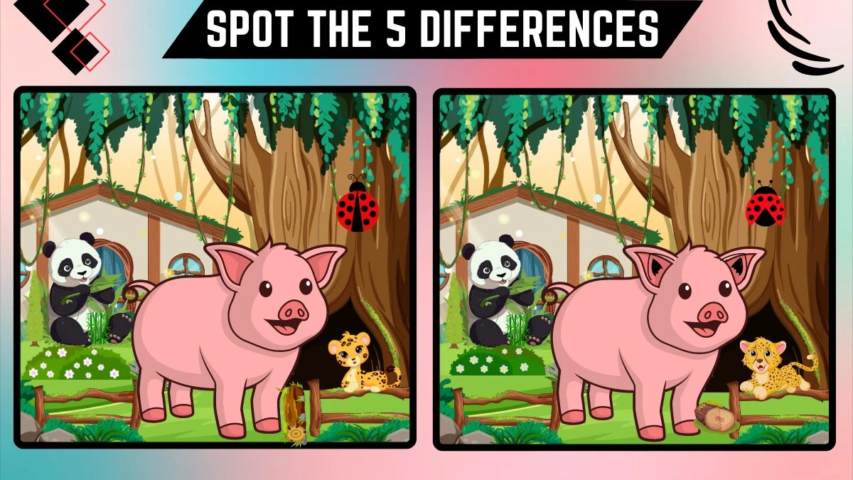 Spot the 5 Differences: Only Eagle Eyes Can Spot the 5 Differences between these Pig Images in 15 Secs | Picture Puzzle Game