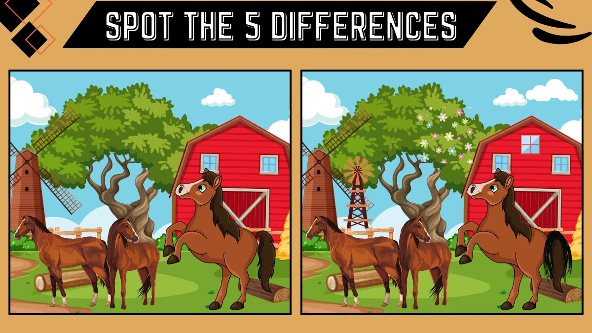 spot the 5 differences only extraordinary vision can spot the 5 differences in the horse 6673ae59393fc71428560 1200