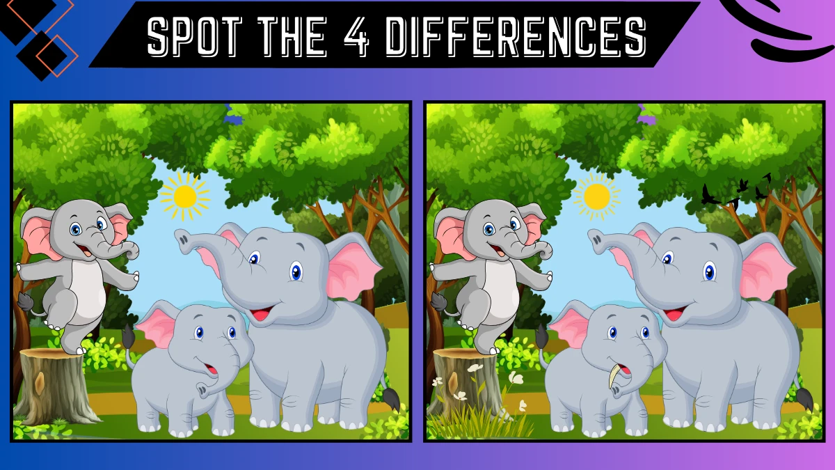 spot the 5 differences only genius can spot 4 differences between these elephant images i 6677a96c838e445445449 1200