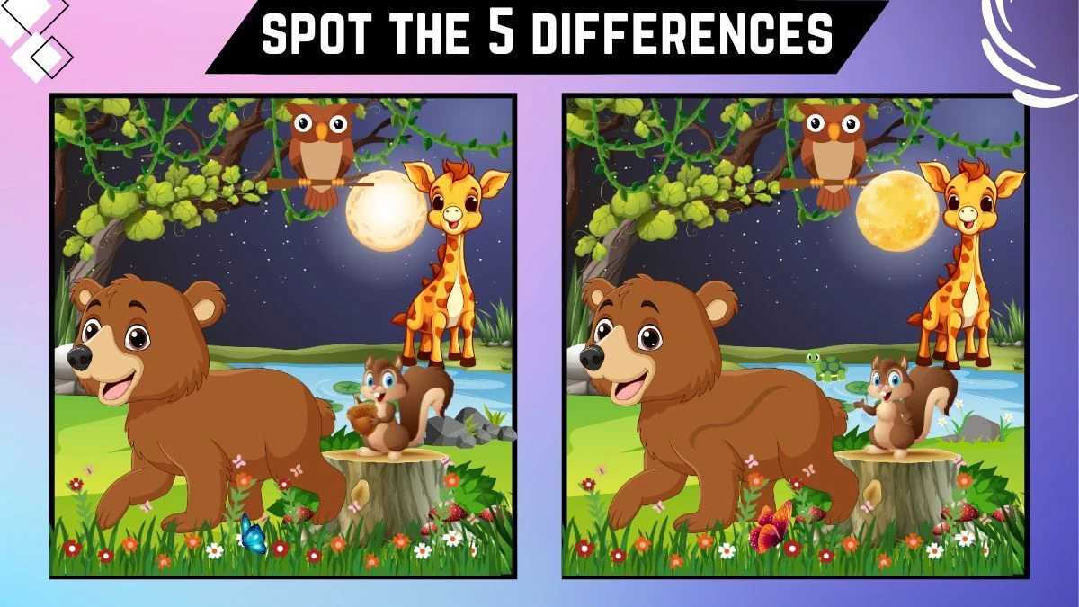 Spot the 5 Differences: Only the sharp vision can spot the 5 differences in this Bear picture within 14 secs| Picture Puzzle Game