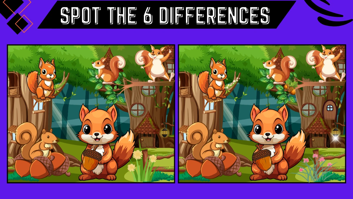 spot the 6 difference picture puzzle game only people with extra sharp eyes can spot the 667a60bb3b4c446173690 1200