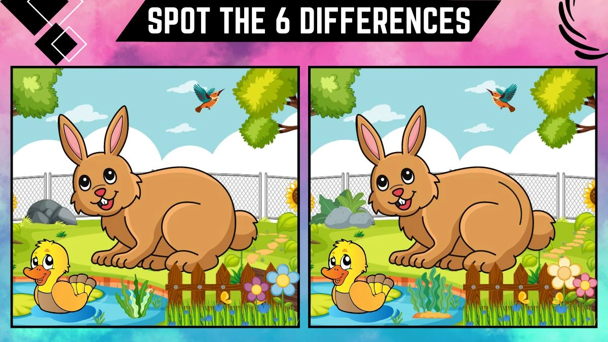 Spot the 6 Differences: Only 50/50 vision can spot the 6 differences in this rabbit image within 14 secs| Picture Puzzle Game