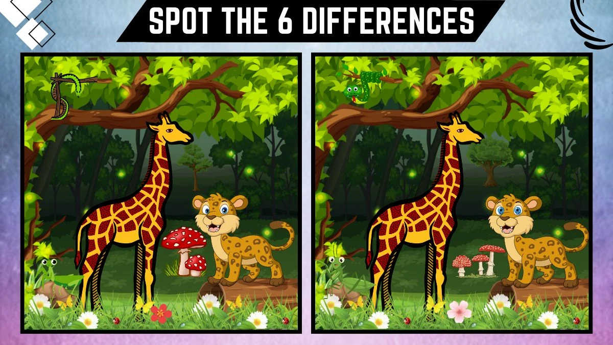 Spot the 6 Differences: Only intelligent people can spot the 6 differences in the giraffe and baby cheetah image within 18 seconds | Picture Puzzle Game