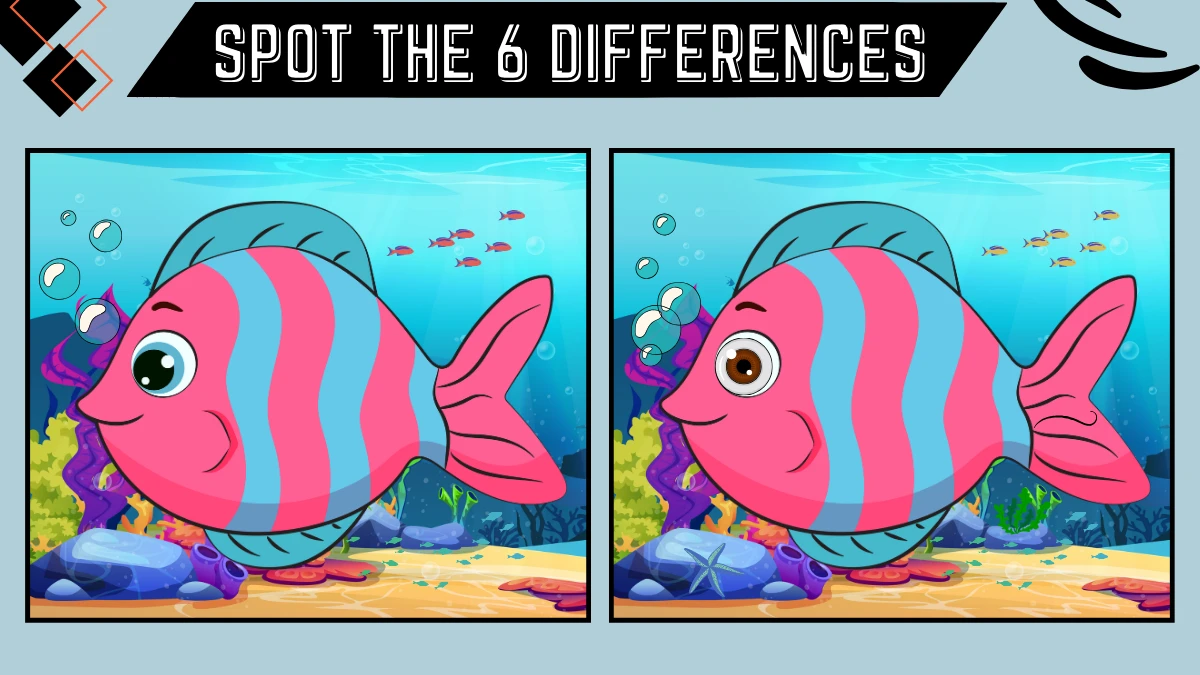 Spot the 6 Differences: Only the sharpest eyes can spot the 6 differences in this fish picture within 16 secs| Picture Puzzle Game