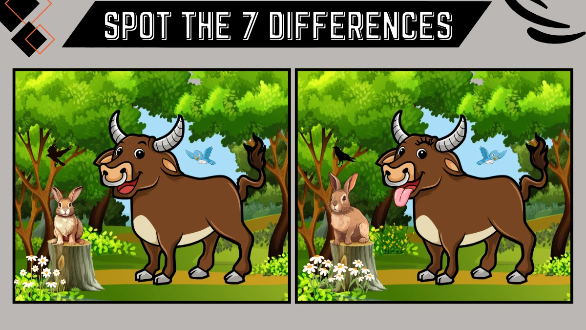 Spot the 7 Differences: Only people with 10/10 vision can spot the 7 differences in this bull image within 18 secs| Picture Puzzle Game